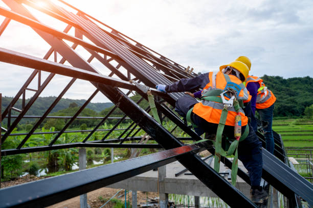 Best Best Roofing Contractors  in Tchula, MS