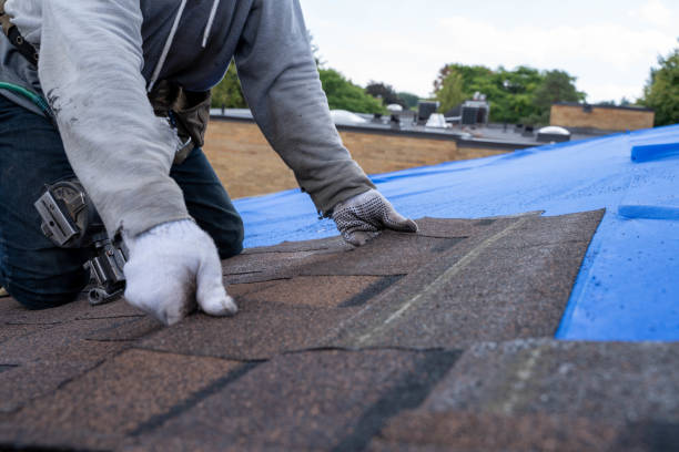 Best Storm Damage Roof Repair  in Tchula, MS
