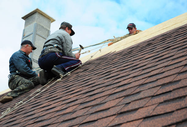 Best Roof Gutter Cleaning  in Tchula, MS