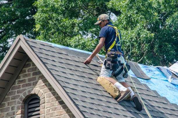 Best Emergency Roof Repair  in Tchula, MS